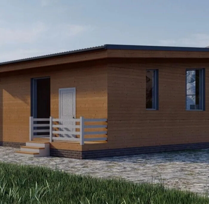 Каркасный дом СВЕТЛЫЙ